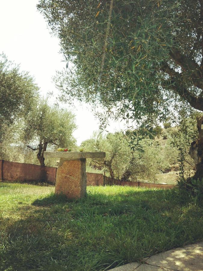 Holiday home Casa De Pimenteis Vimioso