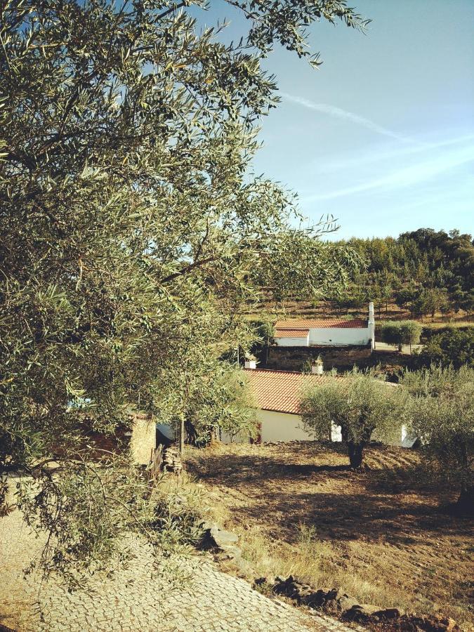 Casa De Pimenteis Vimioso